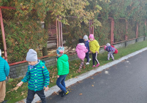 Przedszkolaki szukają kolorowych liści.